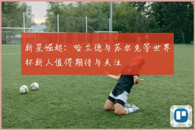 新星崛起：哈兰德与苏尔克等世界杯新人值得期待与关注