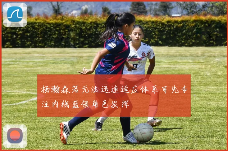 杨瀚森若无法迅速适应体系可先专注内线蓝领角色发挥